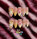 Shell Yeah Set